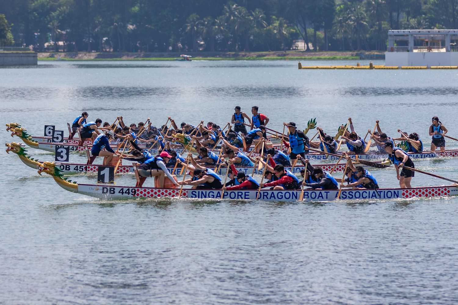 four dragonboats out on the water with groups of people paddling in unison and racing each other