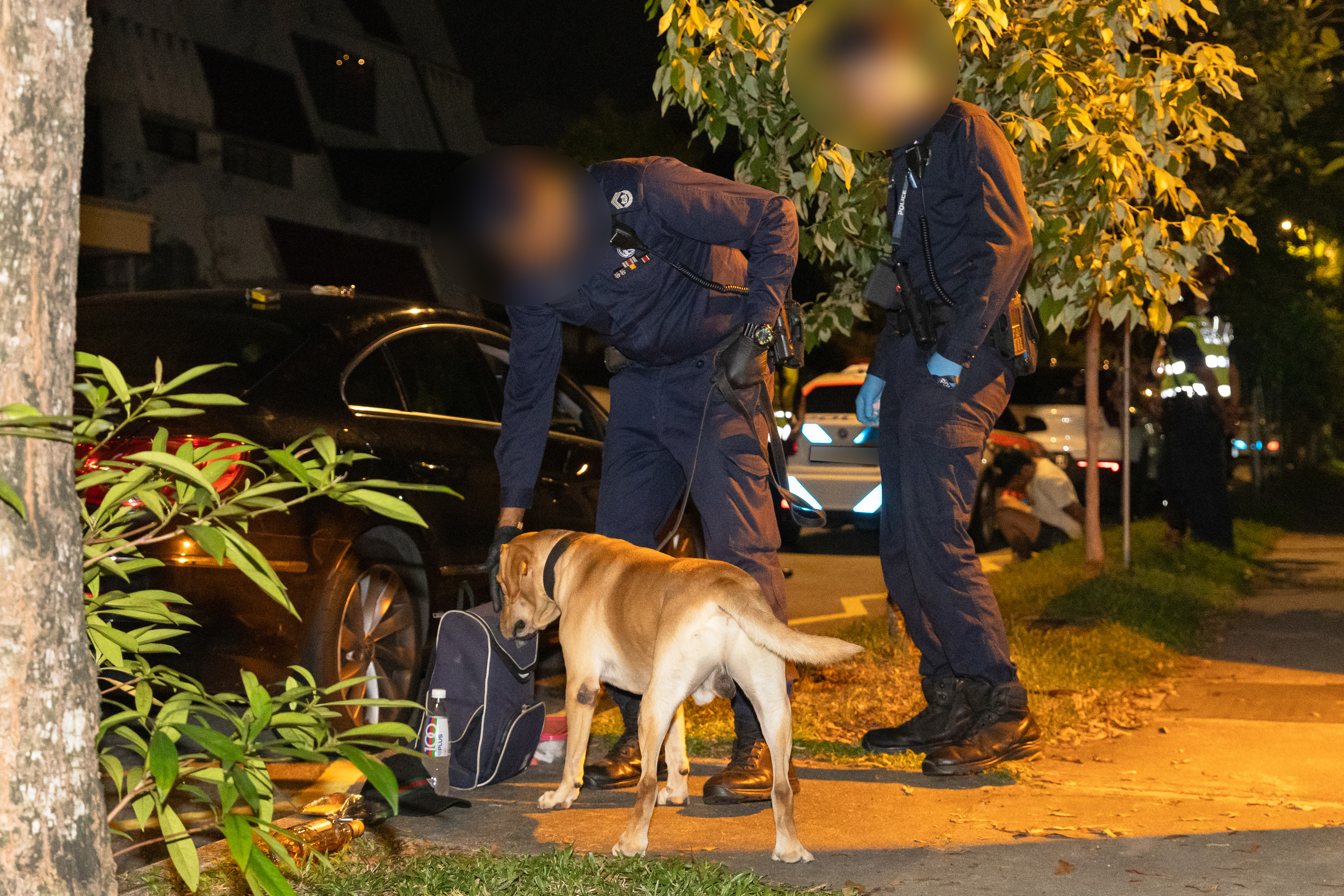 While the City Sleeps: Enforcement Operations at Joo Chiat 04