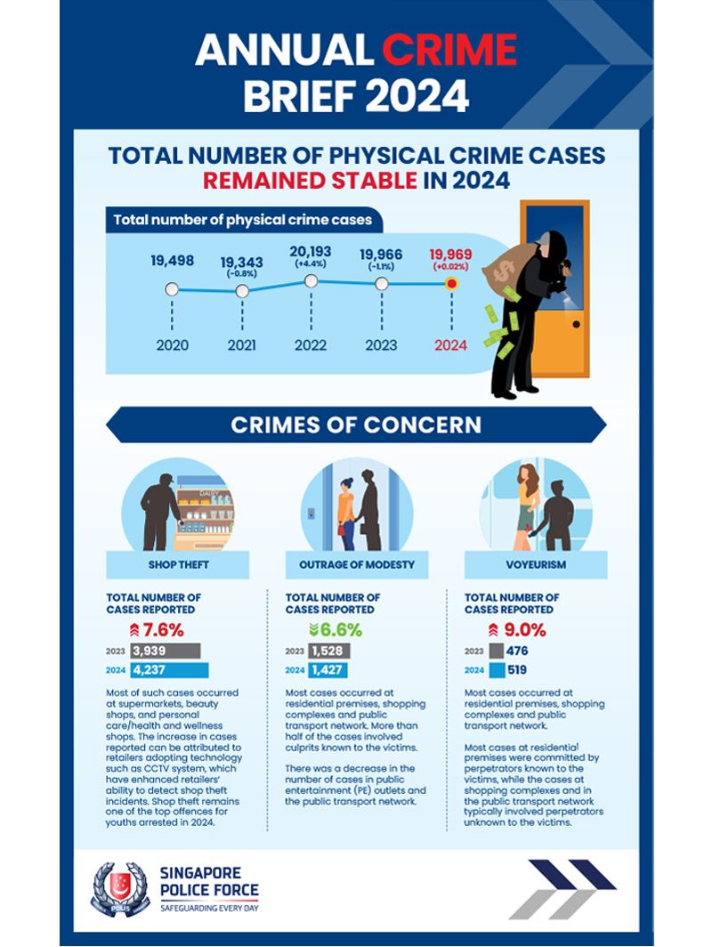 Annual Crime Brief 2024 Infographic