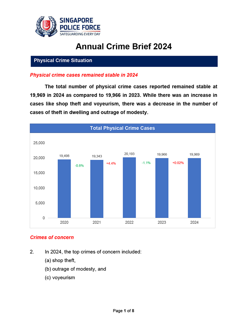 Annual Crime Brief 2024