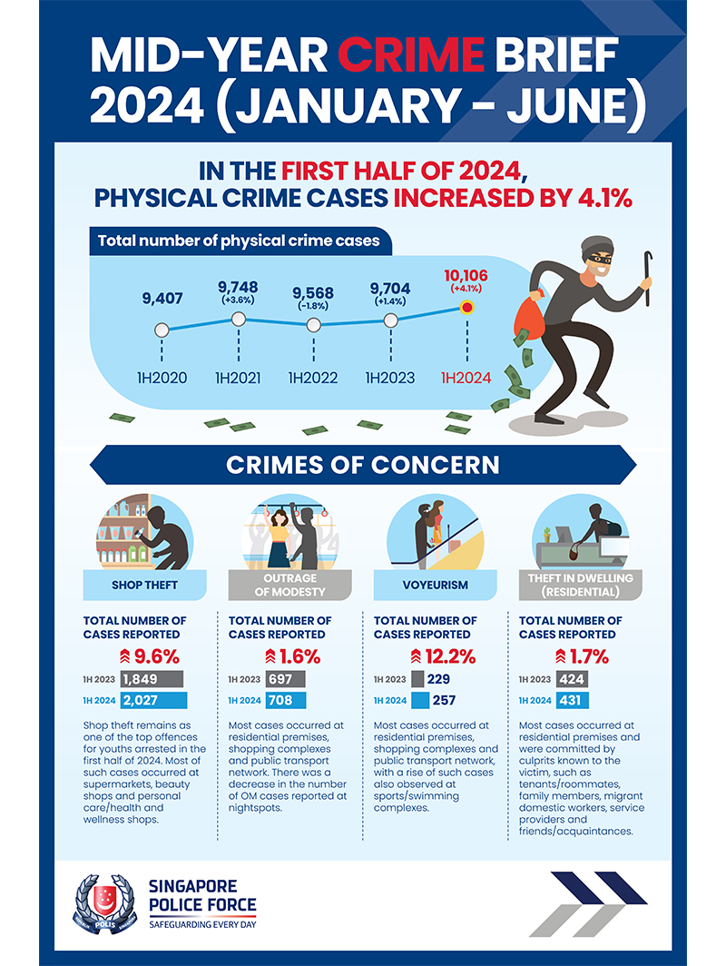 Mid-Year Crime Brief 2024 Infographic