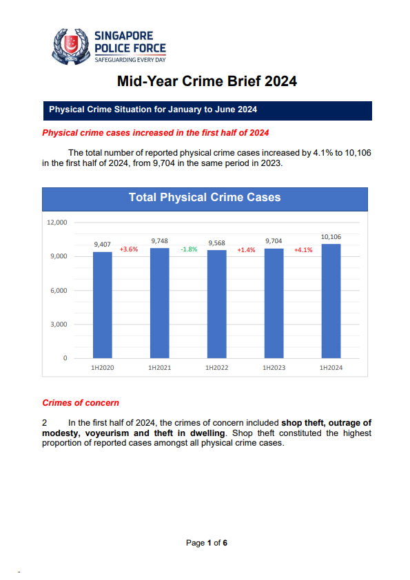 Mid-Year Crime Brief 2024